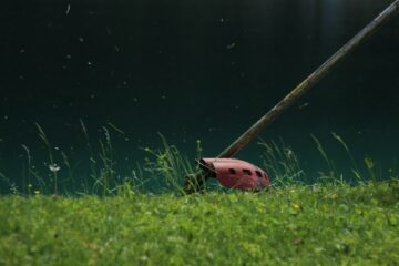 brushcutter cutting green grass