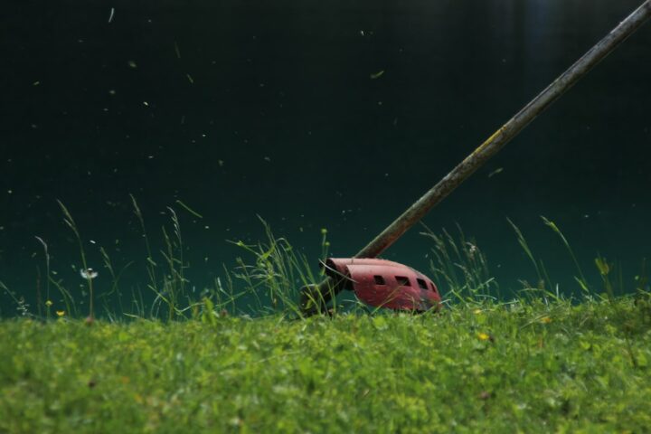 brushcutter cutting green grass