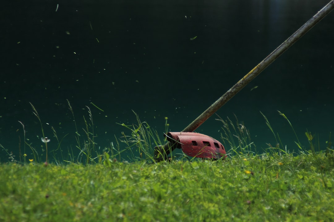 brushcutter cutting green grass